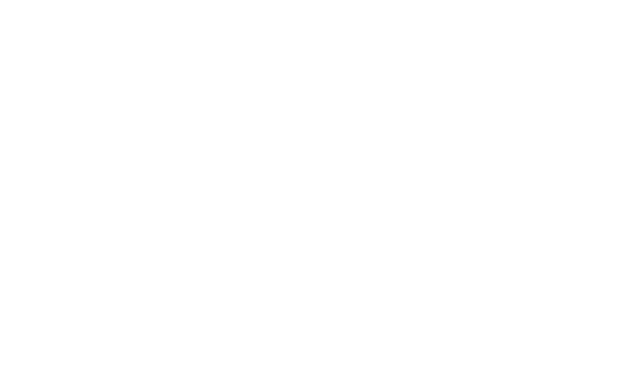 Fan Day Nation