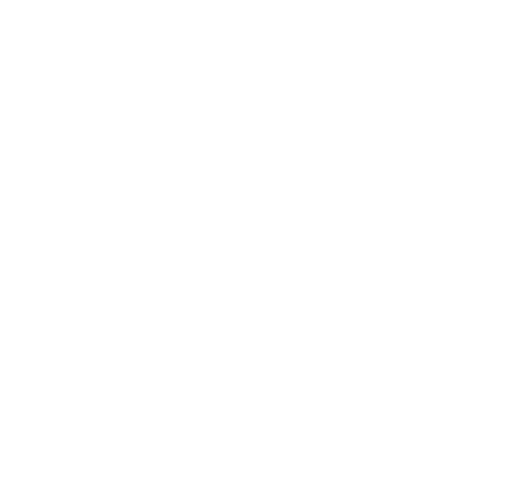 Taurist